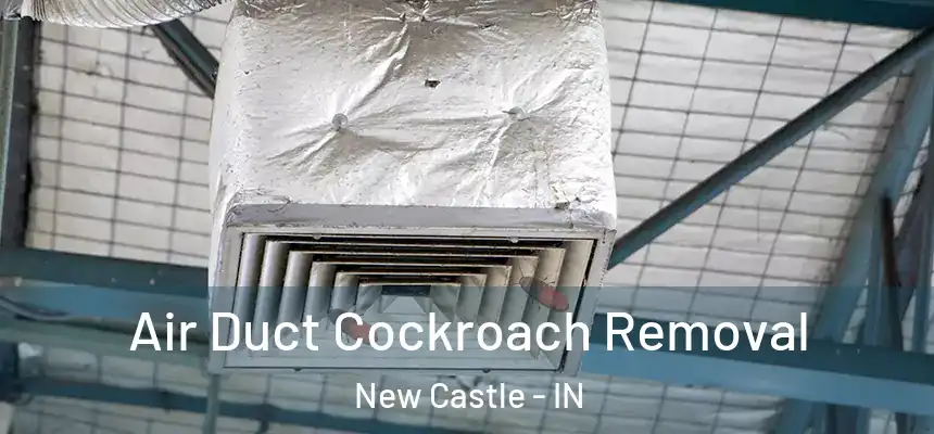 Air Duct Cockroach Removal New Castle - IN