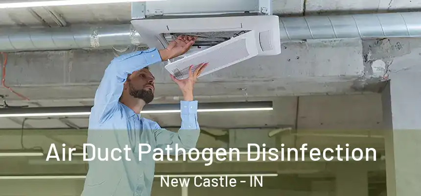  Air Duct Pathogen Disinfection New Castle - IN
