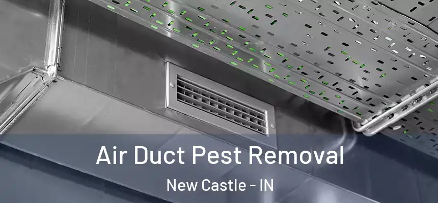Air Duct Pest Removal New Castle - IN
