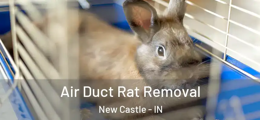 Air Duct Rat Removal New Castle - IN