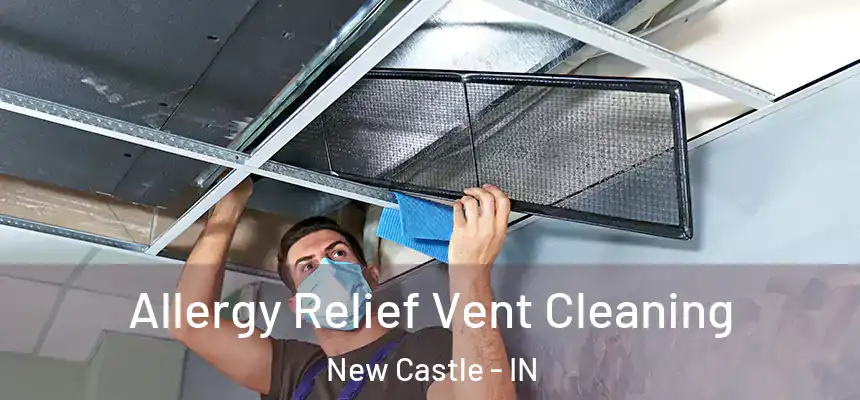 Allergy Relief Vent Cleaning New Castle - IN
