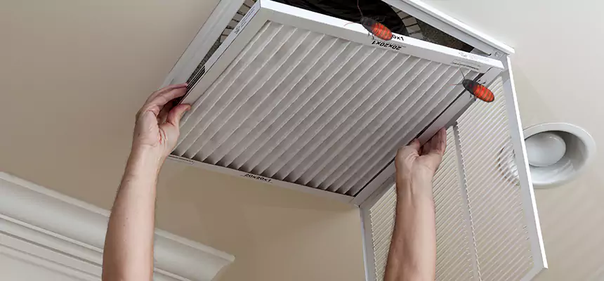 Preventive Cockroach-Proofing for Ducts in New Castle