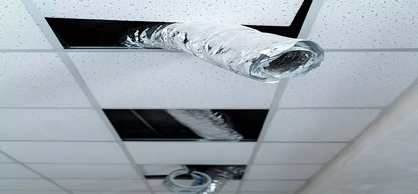 Affordable HVAC Sanitizing After Pest Removal in New Castle