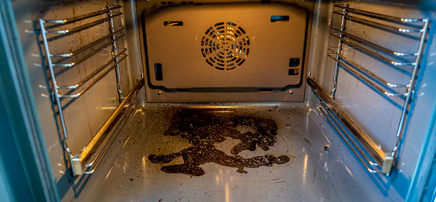 Our Dryer Vent Mold Cleaning Services in New Castle, IN