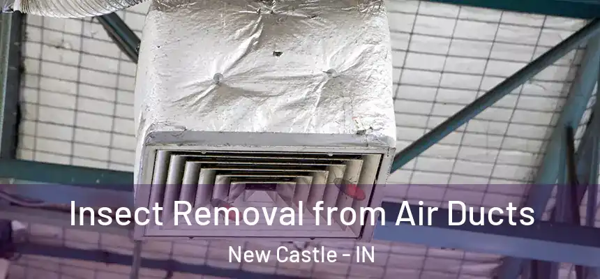 Insect Removal from Air Ducts New Castle - IN