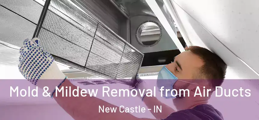 Mold & Mildew Removal from Air Ducts New Castle - IN
