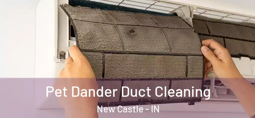 Pet Dander Duct Cleaning New Castle - IN