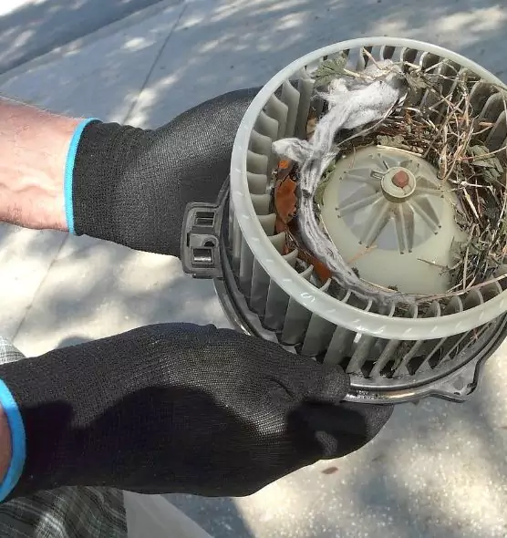 About Air Duct Mice Removal in New Castle, IN