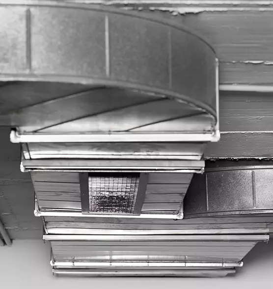 Professional Air Duct Pest Removal in New Castle, IN