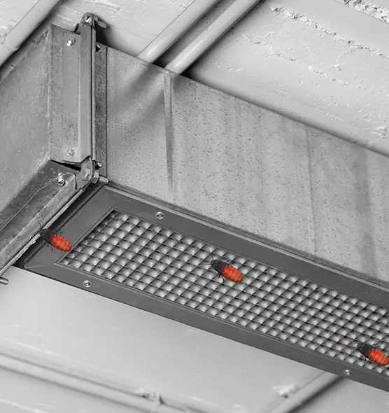 Affordable Insect Removal from Air Ducts in New Castle, IN