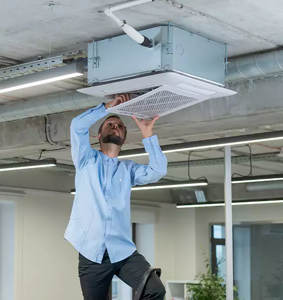 Advanced Rodent Droppings In Vents in New Castle, IN