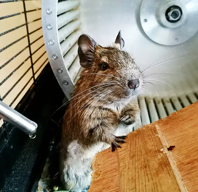 Why Homeowners & Businesses Trust Us New Castle, IN